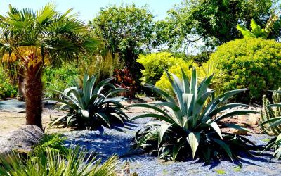 Chambre Double Chambre Double