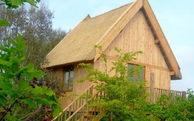 Cabane en Bois Cabane en Bois