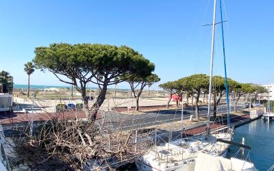 Appartement - Vue sur Mer
