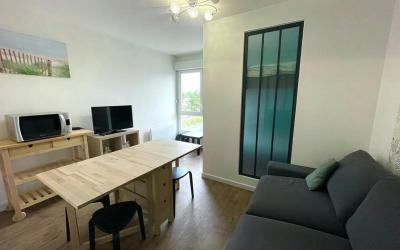 Appartement 1 Chambre