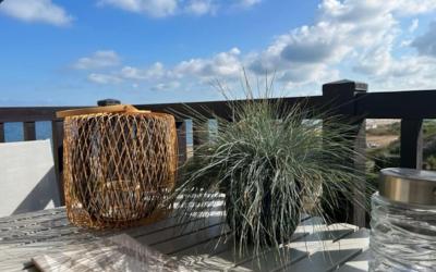 Studio - Vue sur Mer