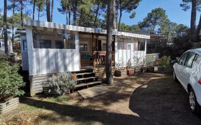 Mobile Home Mobile Home