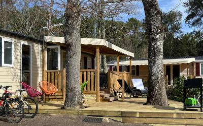 Mobile Home