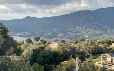 Appartement 1 Chambre