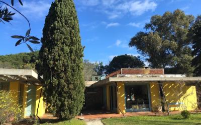 Villa Villa