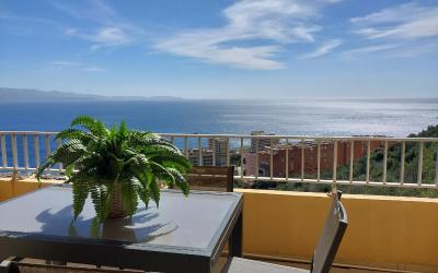 Appartement 1 Chambre Appartement 1 Chambre