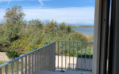 Appartement - Rez-de-Chaussu00e9e