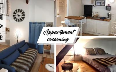 Appartement 1 Chambre Appartement 1 Chambre