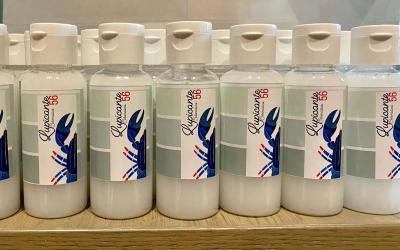 Appartamento con 2 Camere da Letto