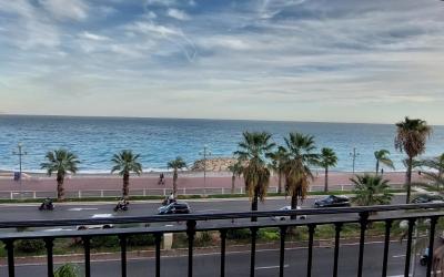 Appartement 1 Chambre