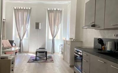 Appartement 1 Chambre
