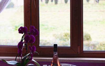 Appartamento con Vista Giardino