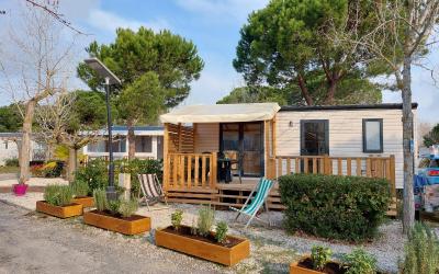 Mobile Home