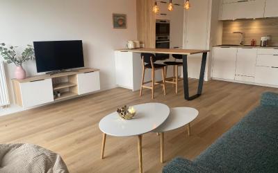 Appartement 1 Chambre Appartement 1 Chambre