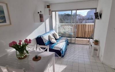 Appartement 1 Chambre