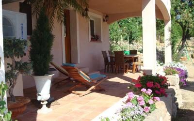 Appartement avec Terrasse Appartement avec Terrasse