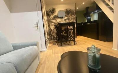 Appartement 1 Chambre