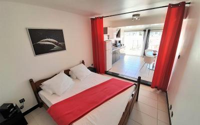 Appartement 1 Chambre