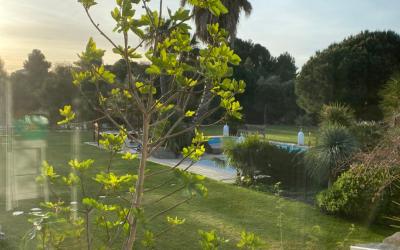 Chambre Double - Vue sur Piscine Chambre Double - Vue sur Piscine