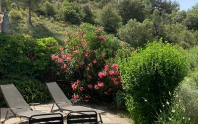 Appartement 1 Chambre