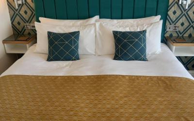 Superior Deluxe Double or Twin Room 