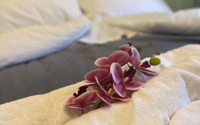 Appartamento con 2 Camere da Letto