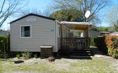 Mobile Home