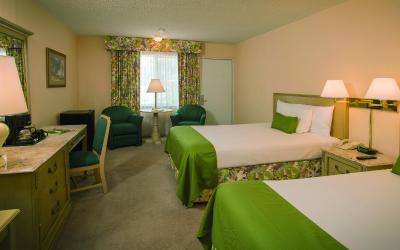 Double Room with Two Double Beds and Pool View