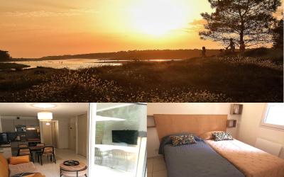 Appartement - Rez-de-Chaussu00e9e Appartement - Rez-de-Chaussu00e9e