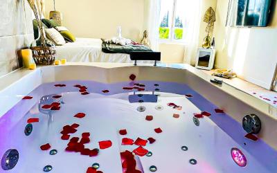 Appartement 1 Chambre