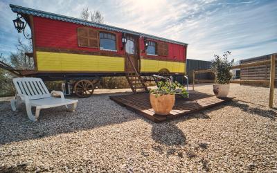 Bungalow Standard Bungalow Standard