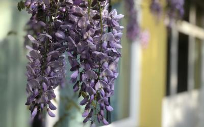 Appartamento con 2 Camere da Letto