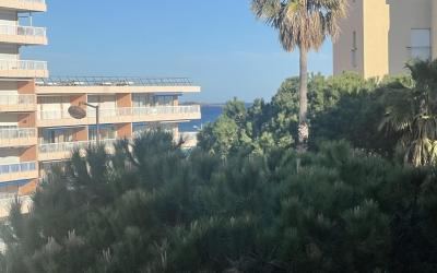 Appartement 1 Chambre