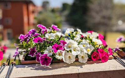 Camera Matrimoniale con Letto Supplementare