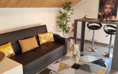 Appartement 1 Chambre