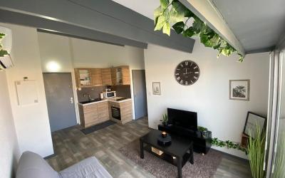 Appartement 1 Chambre