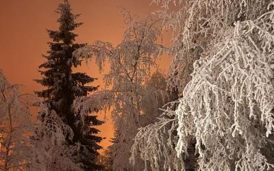 Appartement 3u00a0Chambres Appartement 3u00a0Chambres