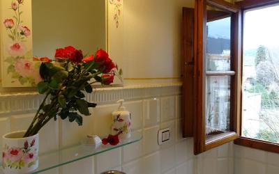 Camera King Standard