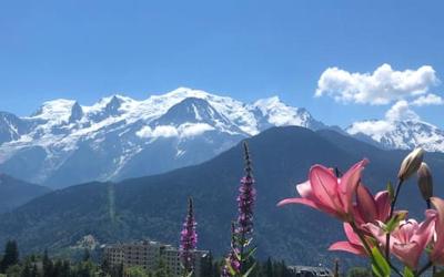 Appartement 1 Chambre Appartement 1 Chambre