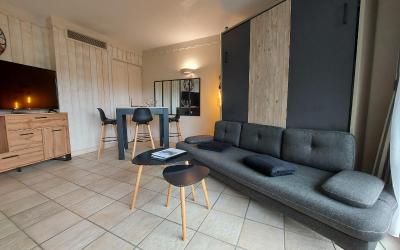 Appartement 1 Chambre