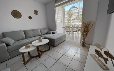 Appartement 1 Chambre