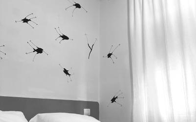 Camera Queen Superior