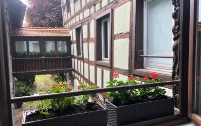 Appartement 1 Chambre