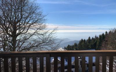 Appartamento con 1 Camera da Letto