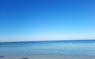 Appartamento con 1 Camera da Letto