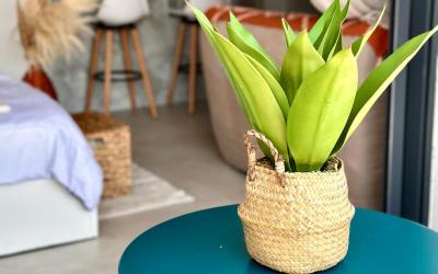 Appartement 1 Chambre