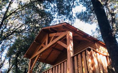 Chambre Double ou Lits Jumeaux Chambre Double ou Lits Jumeaux