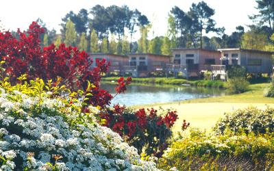 Chalet 2 Chambres Chalet 2 Chambres