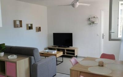 Appartement 1 Chambre