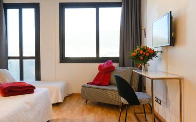 Camera Comfort Matrimoniale/Doppia con Letti Singoli